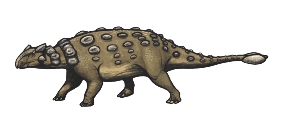 Mystery Dinosaur