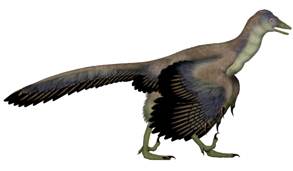 Mystery Dinosaur