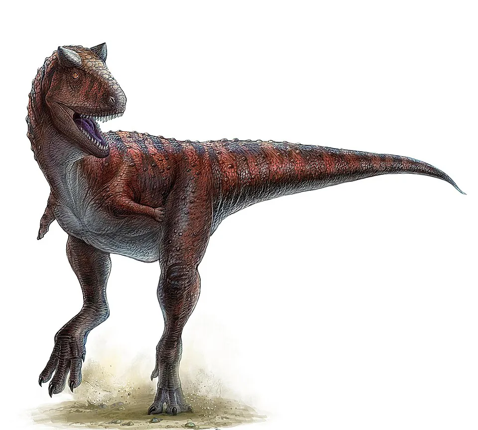 Mystery Dinosaur