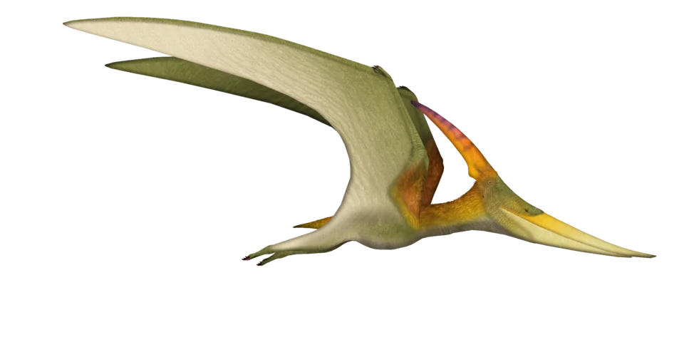 Mystery Dinosaur