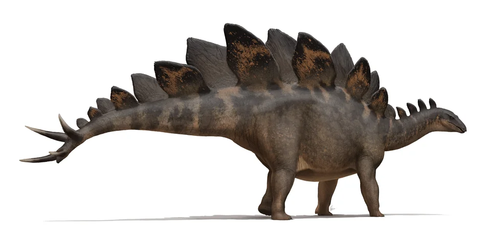 Mystery Dinosaur