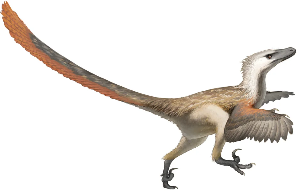 Mystery Dinosaur