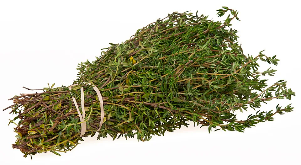 Mystery Herb